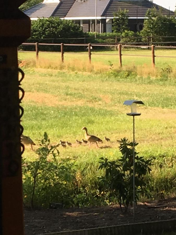 Houten Villa Tine Den Ham Bagian luar foto